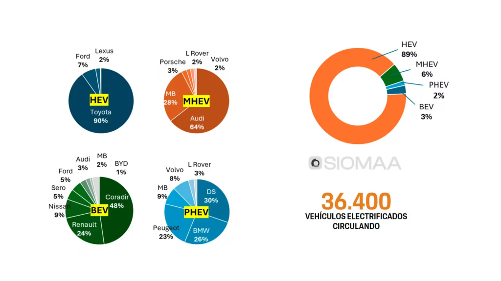 Las cuatro diferentes formas de electrificación del mercado automotor argentino